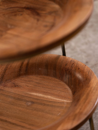 مضيفة كب كيك بتصميم أنيق